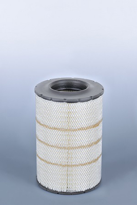 FLEETGUARD Õhufilter AF25898