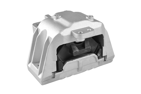 TEDGUM variklio montavimas 00725548