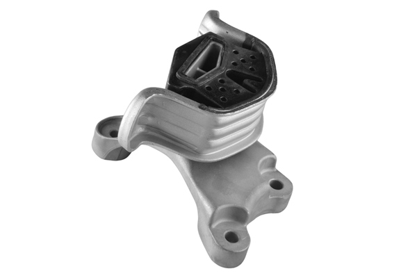 TEDGUM variklio montavimas TED39037