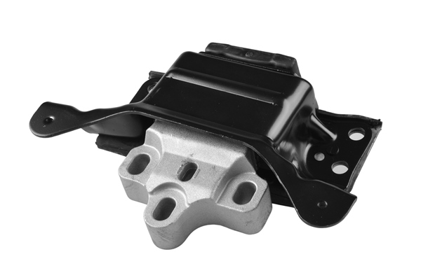 TEDGUM variklio montavimas TED97485