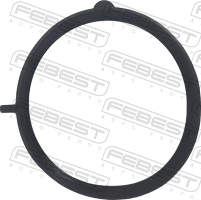 FEBEST Tihend, drosselventiil 10400-001
