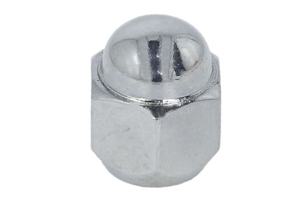 BTA Rattapoldid H60031BTA