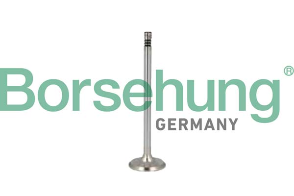 Borsehung Sisselaskeklapp B10349