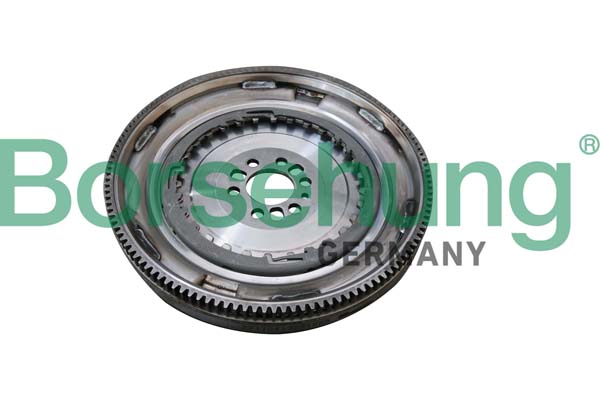 Borsehung smagratis B10918