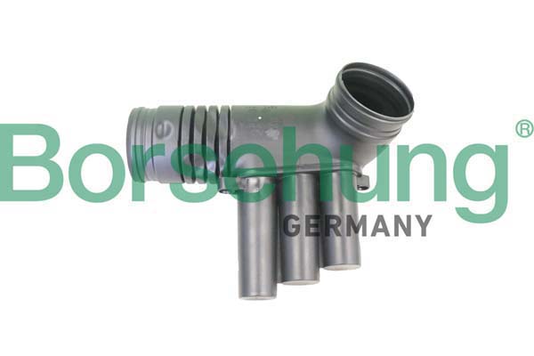 Borsehung Imuputki, ilmansuodatin B12330
