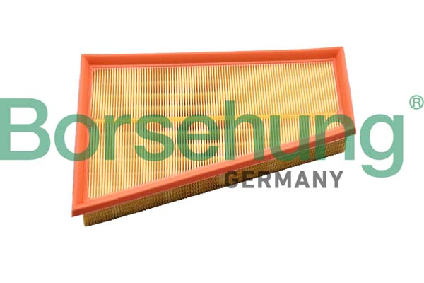Borsehung Õhufilter B12397