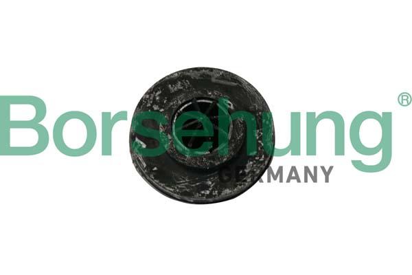 Borsehung Jousilautanen B19065