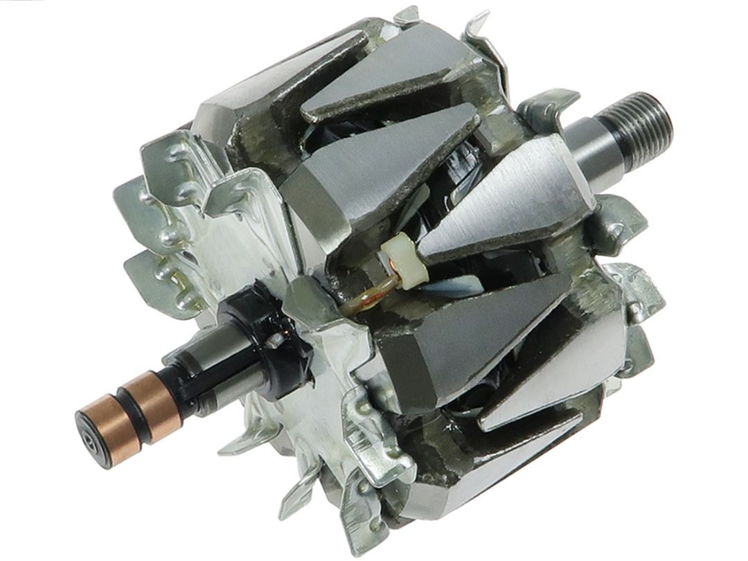 AS-PL rotorius, kintamosios srovės generatorius AR0055