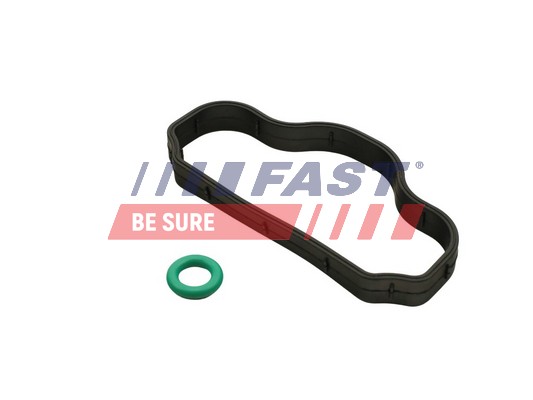 FAST Packning, ventilkåpsskruvar FT48302