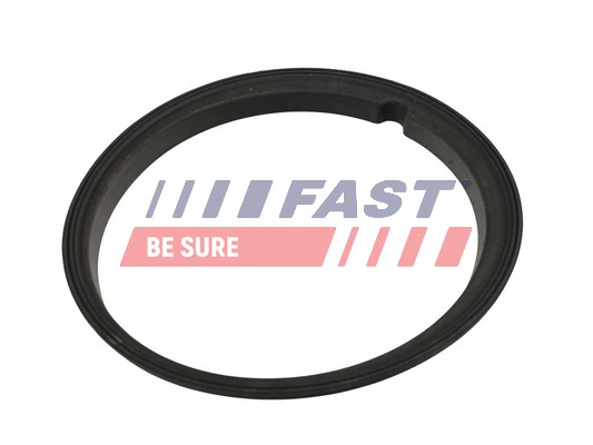 FAST Tihend,kütuseetteandja FT48502