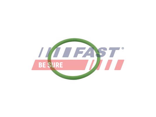 FAST tarpiklis, turbinos įvadas (piltuvas) FT48803