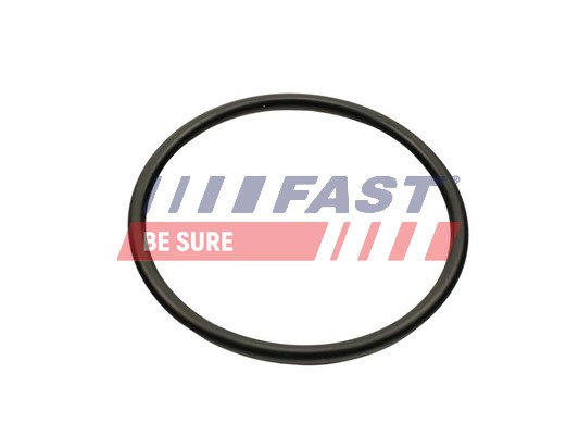 FAST tarpiklis, įsiurbimo kolektorius FT49460