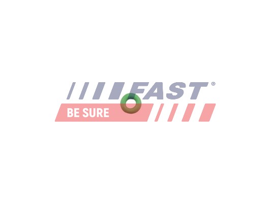 FAST Tihendirõngas, pihusti kinnitus FT49650
