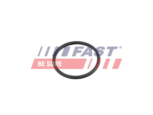 FAST Tihend,jahutusvedelikutorustik FT49920