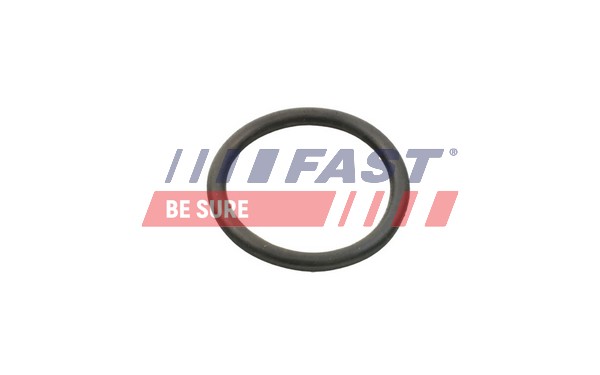 FAST Uszczelnienie, pompa wodna FT49934