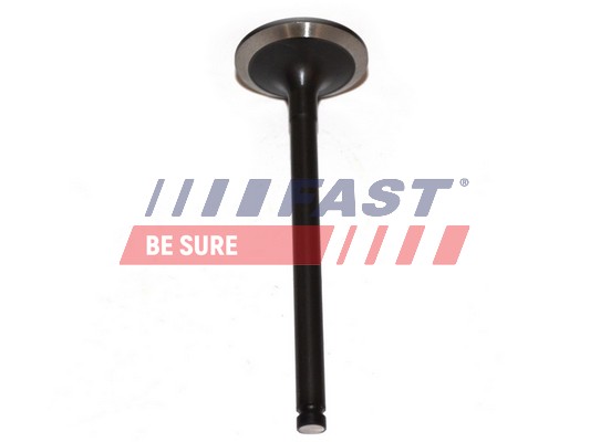 FAST Sisselaskeklapp FT50013
