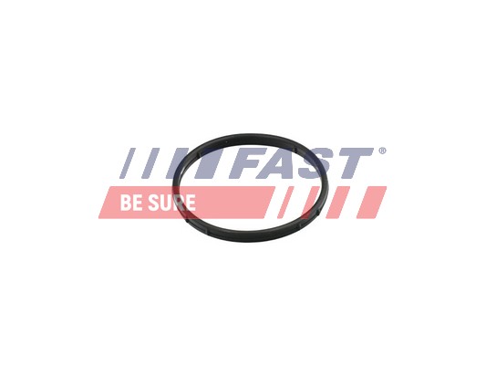 FAST tarpiklis, EGR vožtuvas FT50602