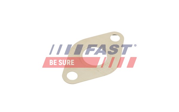FAST tarpiklių rinkinys, AGR sistema FT50609