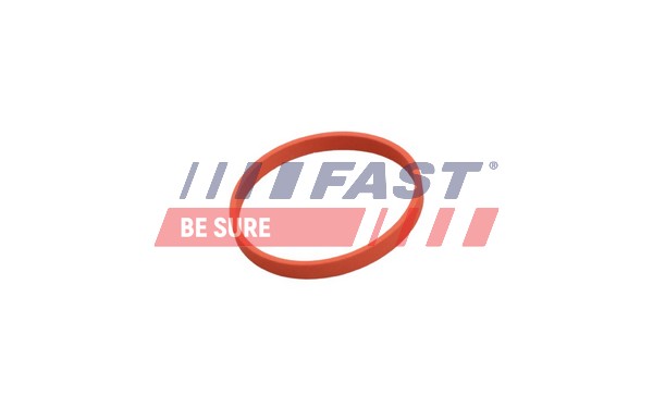 FAST Tihend, EGR-klapp FT50628