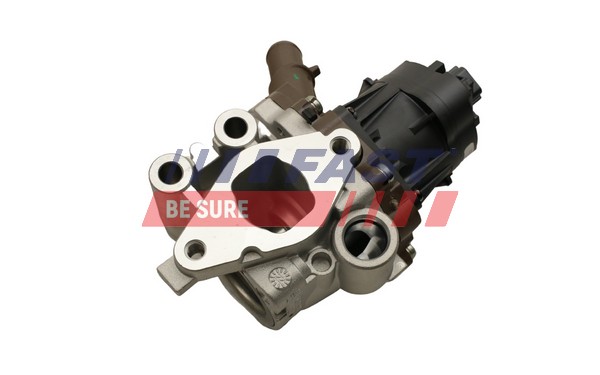 FAST EGR-klapp FT60248