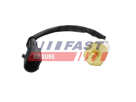 FAST Temperatuurilüliti,jahutusvedeliku hoiatuslamp FT80157