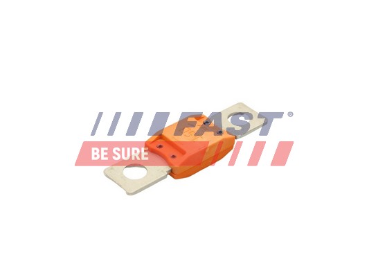FAST Kaitse FT83403
