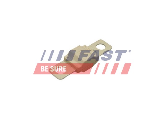 FAST Kaitse FT83405