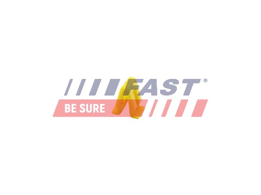 FAST Kinnituskronstein, pidurivoolik FT96313