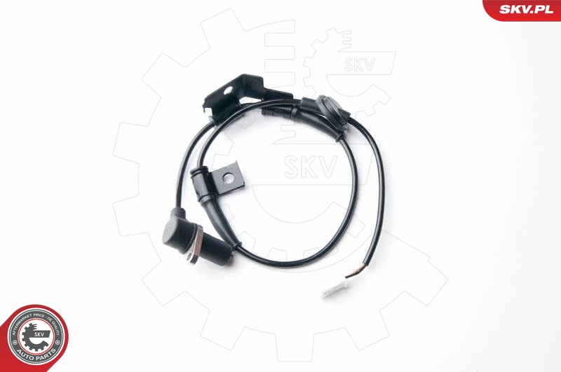 ESEN SKV Andur, rattapöörete arv 06SKV249