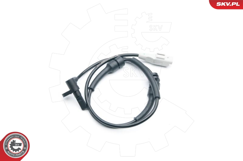 ESEN SKV Andur, rattapöörete arv 06SKV272