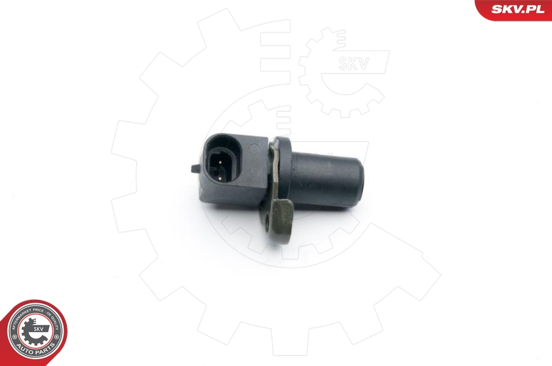 ESEN SKV Andur, rattapöörete arv 06SKV282