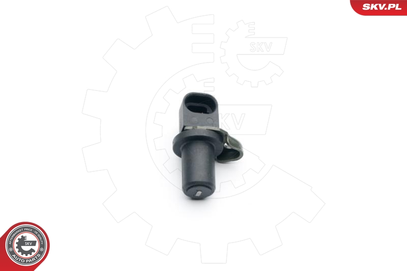 ESEN SKV Andur, rattapöörete arv 06SKV283