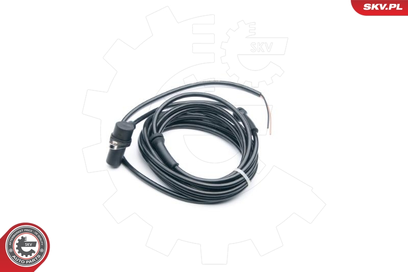 ESEN SKV Andur, rattapöörete arv 06SKV301