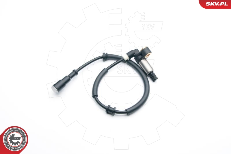 ESEN SKV Andur, rattapöörete arv 06SKV303