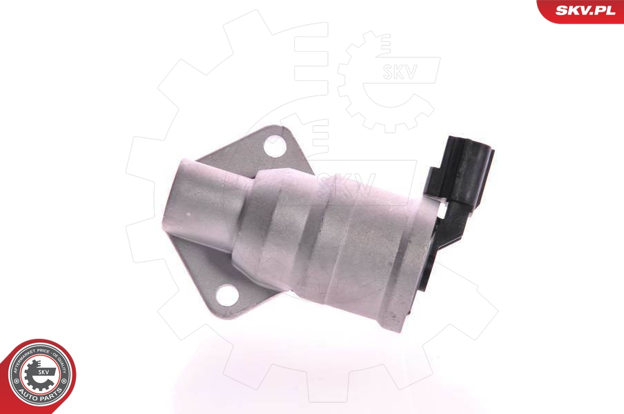 ESEN SKV Tühikäigu mootor 08SKV227
