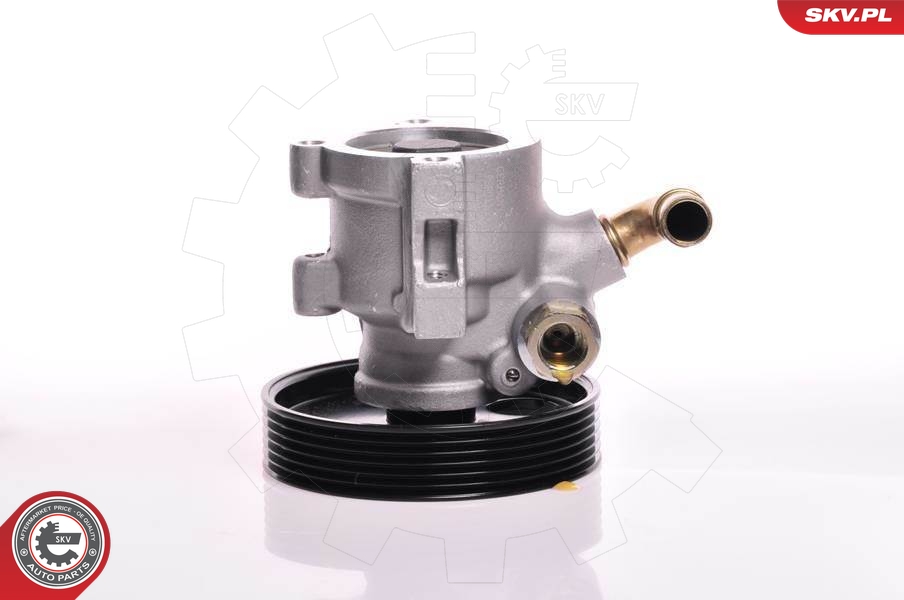 ESEN SKV Roolivõimendi pump 10SKV013