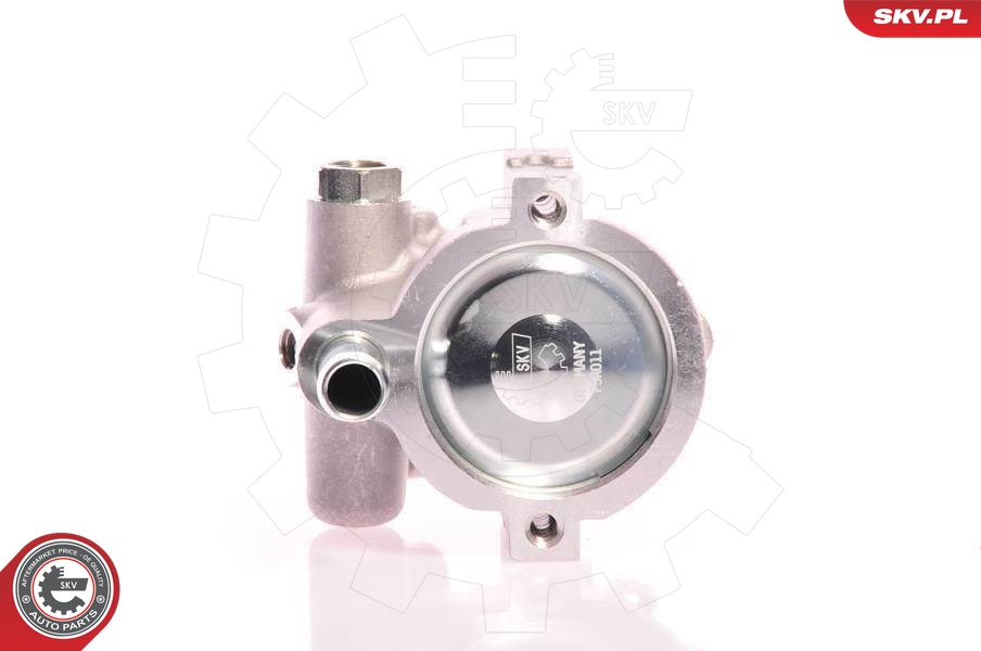 ESEN SKV Roolivõimendi pump 10SKV021