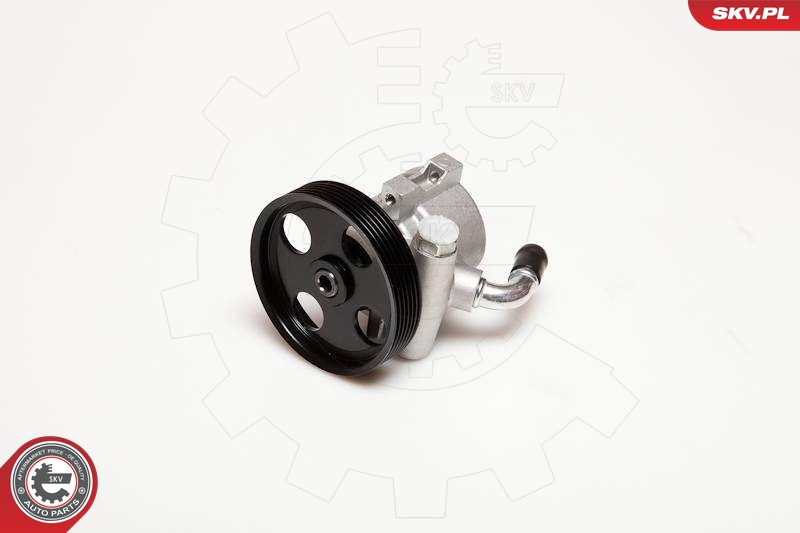 ESEN SKV Roolivõimendi pump 10SKV025