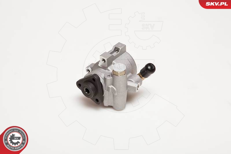 ESEN SKV Roolivõimendi pump 10SKV055
