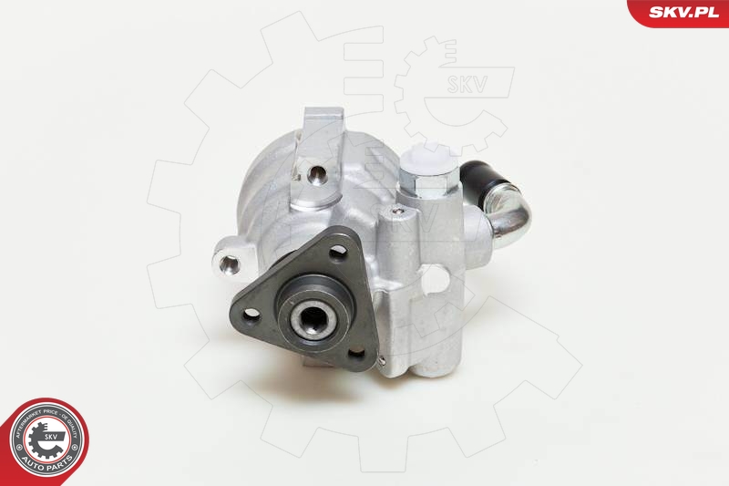 ESEN SKV Roolivõimendi pump 10SKV061