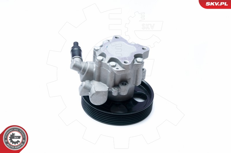 ESEN SKV Roolivõimendi pump 10SKV073