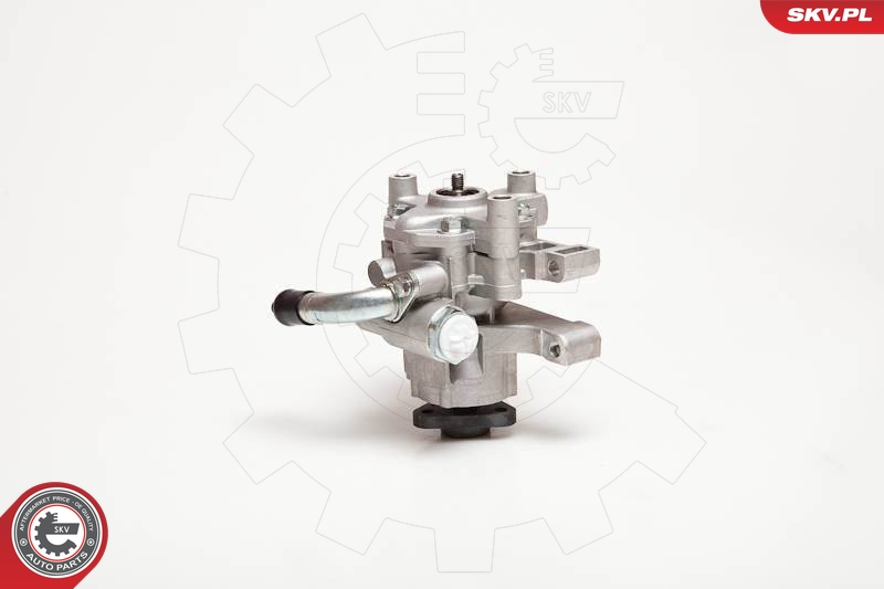 ESEN SKV Roolivõimendi pump 10SKV106
