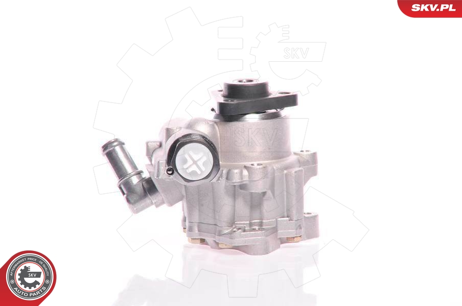ESEN SKV Roolivõimendi pump 10SKV161