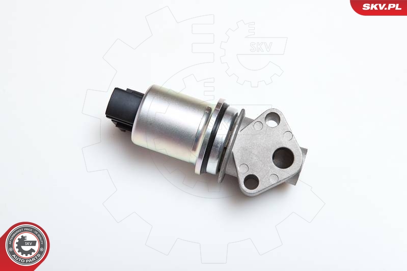 ESEN SKV EGR-klapp 14SKV043