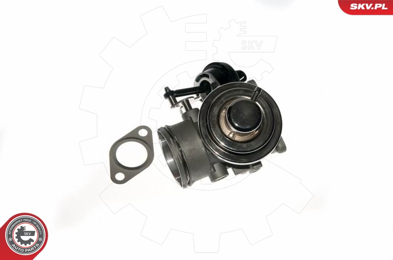 ESEN SKV ERG vožtuvas 14SKV090