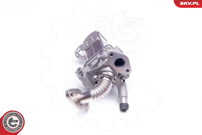 ESEN SKV EGR-klapp 14SKV135