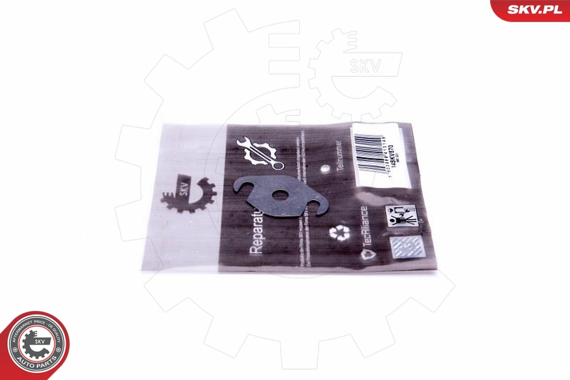 ESEN SKV Remondikomplekt, EGR-klapp 14SKV570