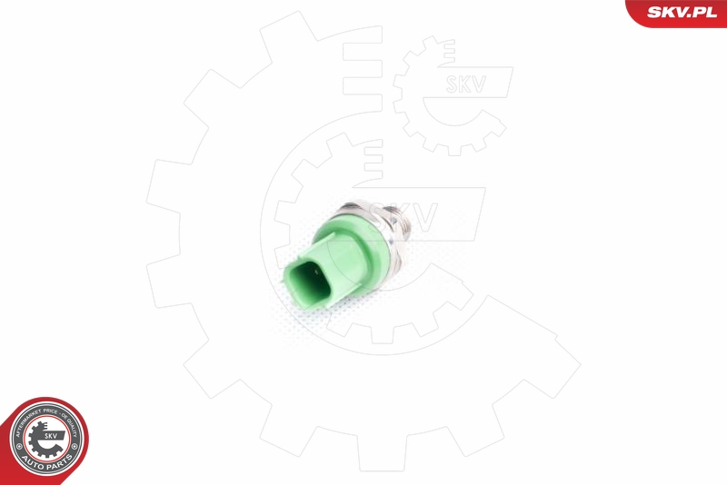 ESEN SKV Detonatsiooniandur 17SKV361