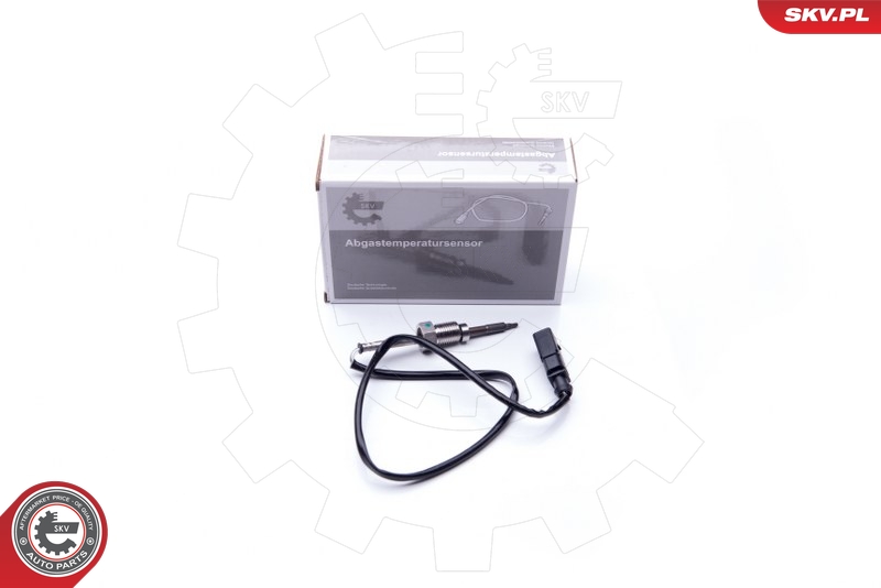 ESEN SKV Sensor, avgastemperatur 30SKV108