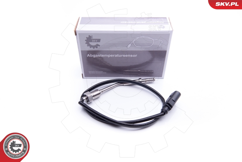 ESEN SKV Sensor, avgastemperatur 30SKV173
